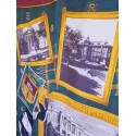 Amerikai egyetem vintage emlékkendő